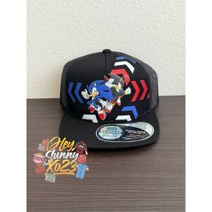 Sonic The Hedgehog Shadow & Sonic Arrows Snapback Hat